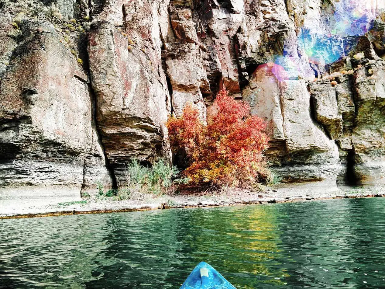 Kayak-101-snake-river-in-fall