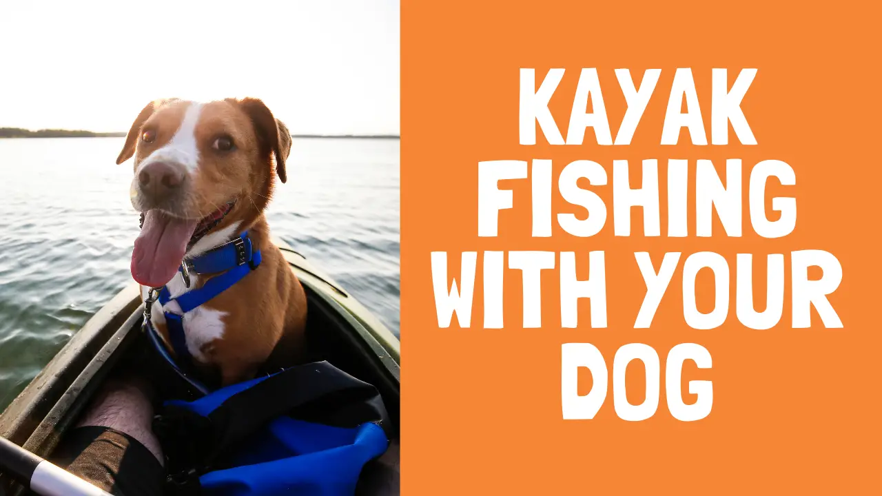Kayak Fishing with your Dog