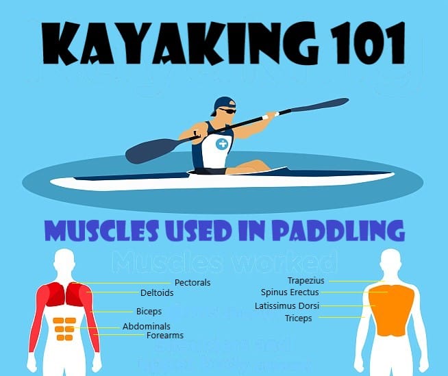 ditch the gym - go kayaking for the best exercise!