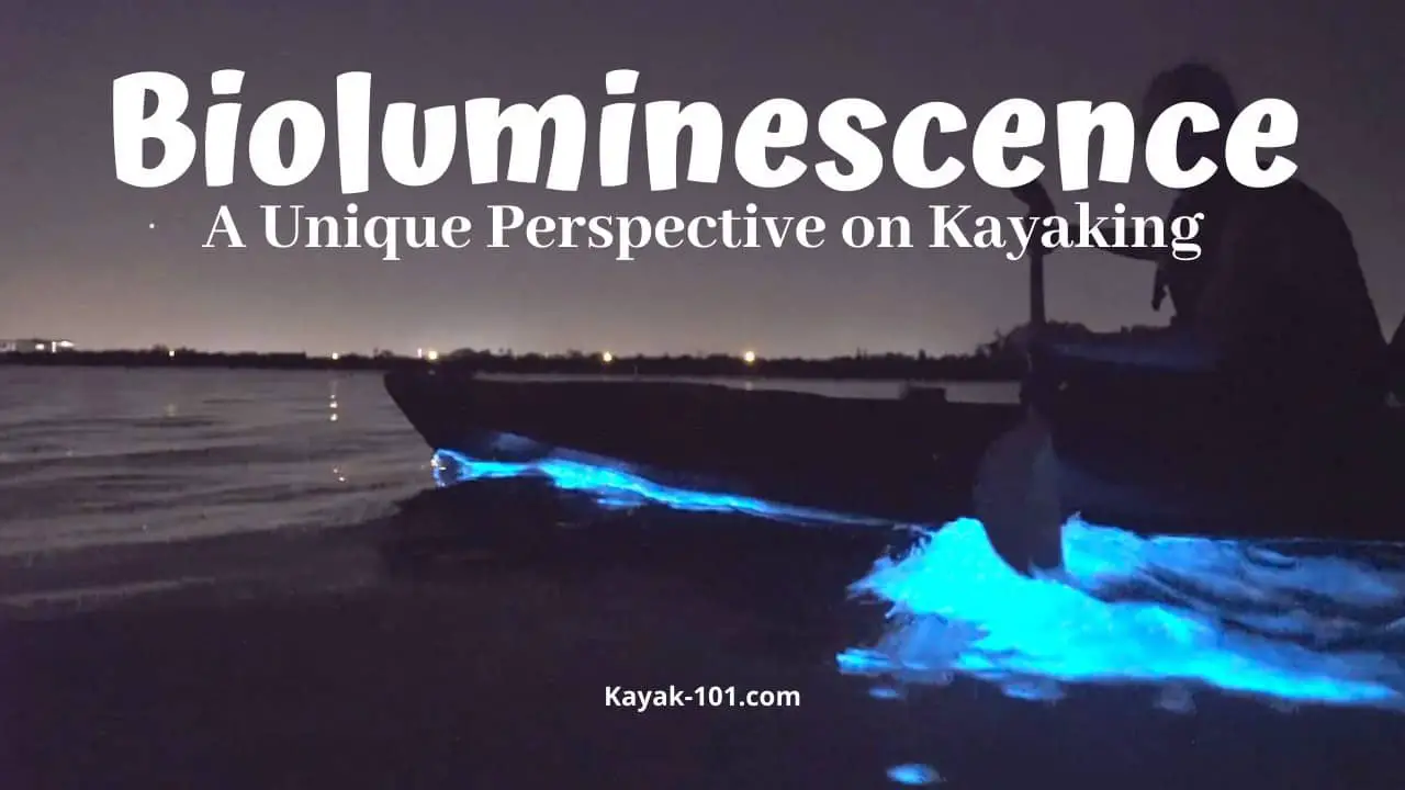 Bioluminescence-kayaking