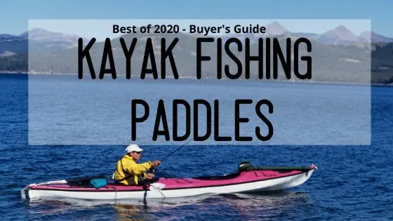 best kayak fishing paddles 2020