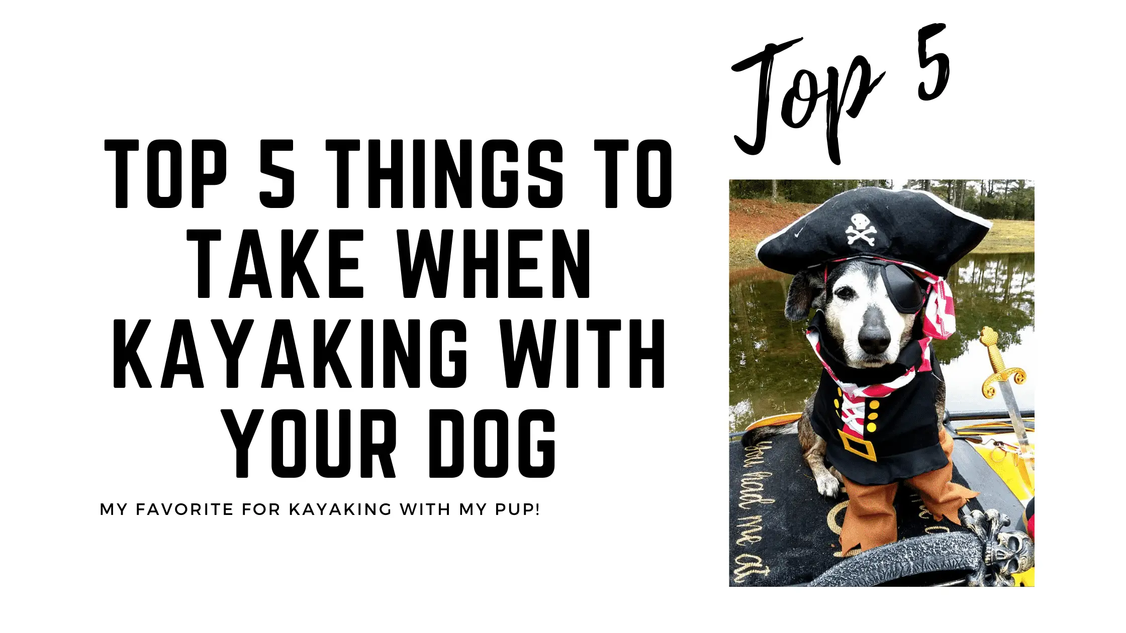 Top 5 Things to Take when Kayaking with your Dog