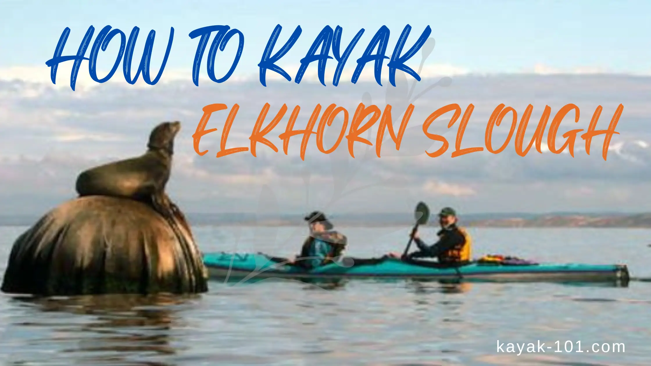 how to kayak to elkhorn slough